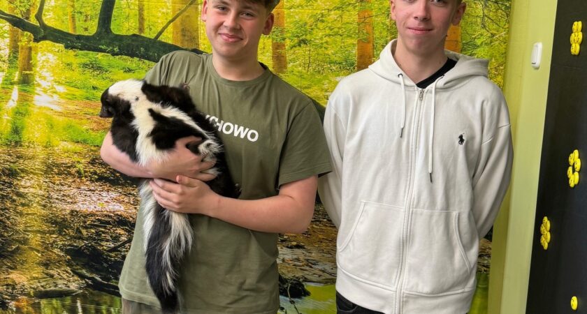 Animalistyczne warsztaty przyrodnicze.