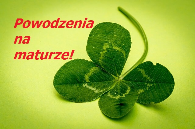 Matura 2024